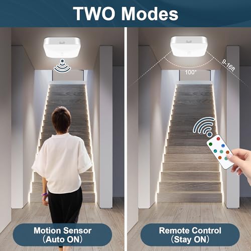 Rechargeable Motion Sensor Ceiling Light with Remote