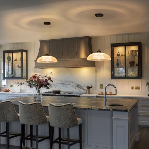 EDSILIVE Vintage Glid Glass Pendant Lights Kitchen Island 13.78" Barn Dome Clear Glass Hanging Ceiling Light Fixture with Black Finish for Dining Room Kitchen Table