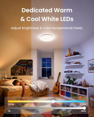 RGBICWW Ceiling Light 12 Inch (12 Inch)
