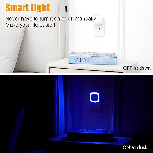 2 Pack Plug in Dimmable Night Light (2 Count)