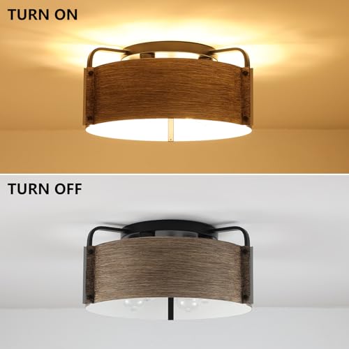 Flush Mount Ceiling Light
