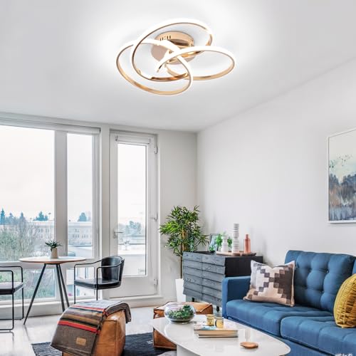 Modern LED Ceiling Light Fixture