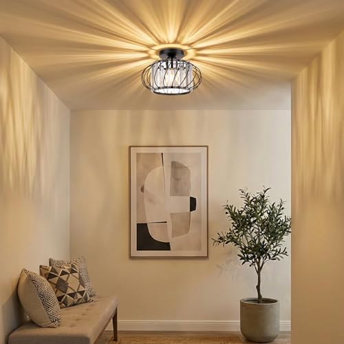 Black Crystal Ceiling Light Fixture