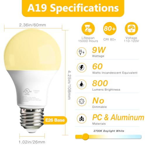 12 Pack A19 LED Bulbs (12 Count)