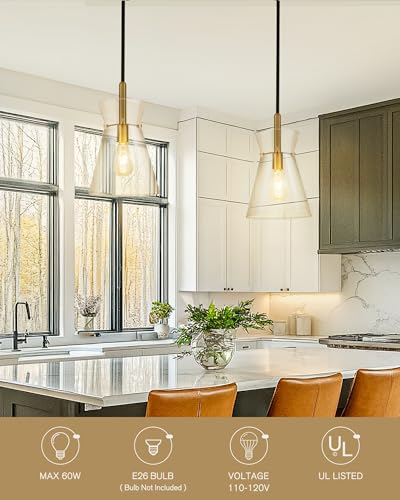 Black and Gold Pendant Light Fixtures