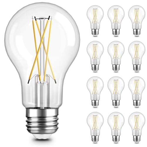 A19 LED Edison Light Bulb (12 Count)