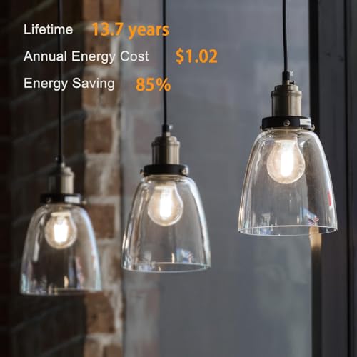 A19 LED Edison Light Bulb (6 Count)
