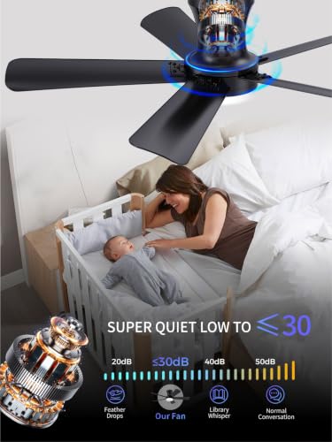 42 Inch Black Low Profile Ceiling Fan with Light and Remote (Black / 42 Inch)