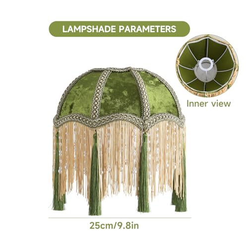 Lampshade with tassels