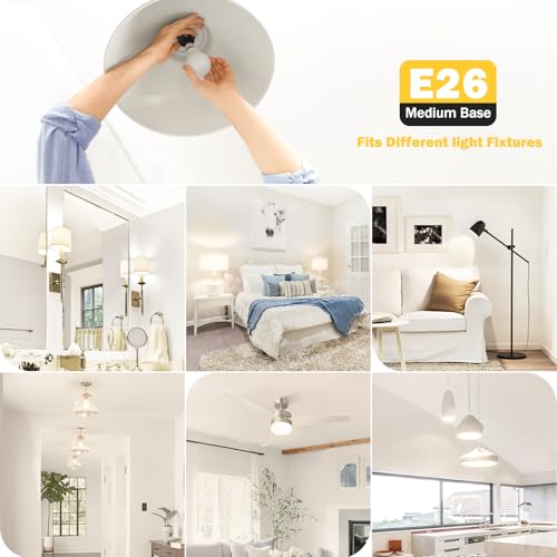 A19 LED Light Bulb 60W Equivalent (4 Count)