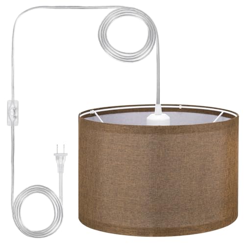 Plug in Pendant Light
