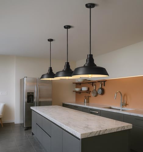 15" Black Farmhouse Pendant Barn Light