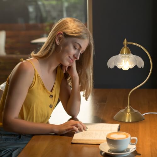 Glass Desk Lamp