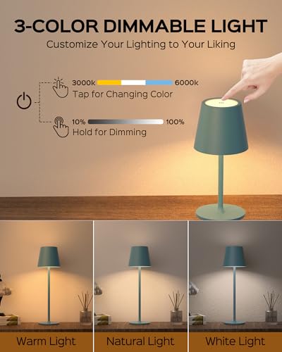 Cordless Table Lamps Rechargeable (2 Count)