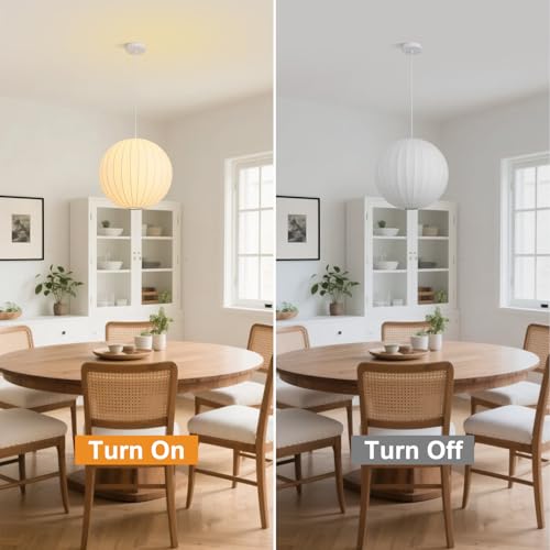 Globe Silk Pendant Light 15.7in Large