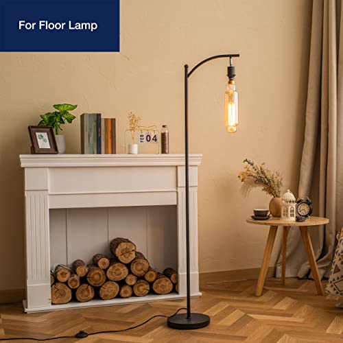 New Large Oversized Vintage LED Bulbs