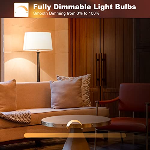 A19 Vintage LED Edison Light Bulbs 40 Watt (4 Count)
