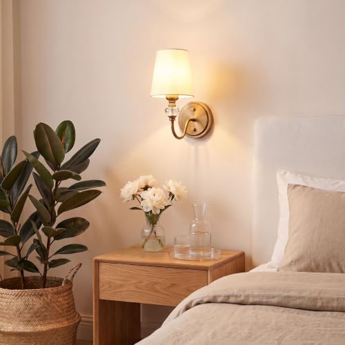 1 Light Vintage Vintage Wall Sconce