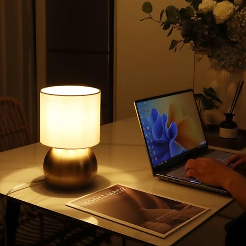 Modern Small Table Lamp Set of 2 (2 Count)