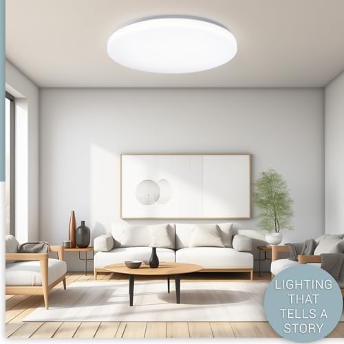 20 inch Ceiling Light Flush Mount 48W