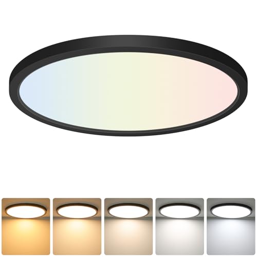 12 Inch LED Flush Mount Ceiling Light Fixture