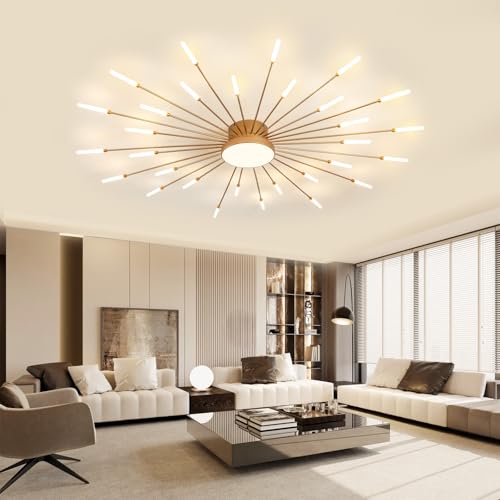 Modern Ceiling Light