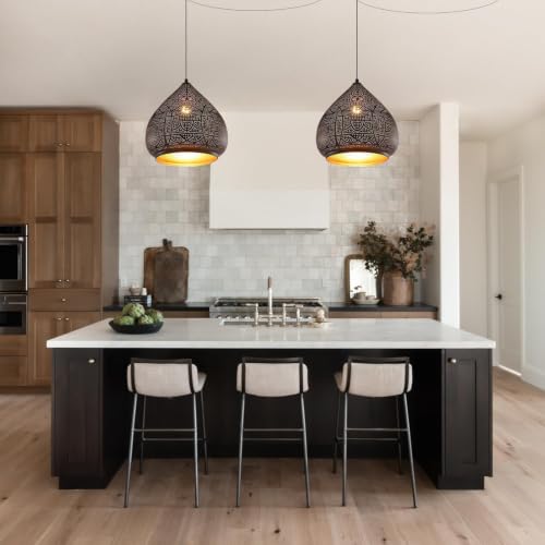 Black Hanging Lamp 2