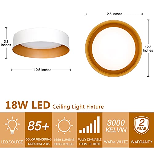 Flush Mount Ceiling Light