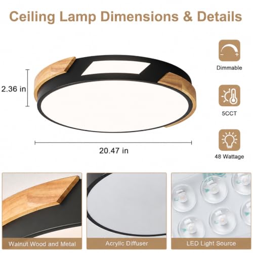 Modern LED Ceiling Light