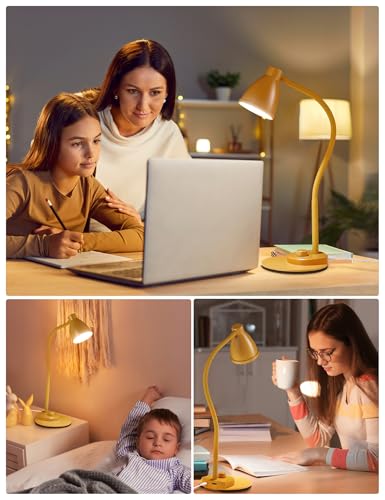 LED Desk Lamp with USB Charging Port 3 Color Modes Fully Dim