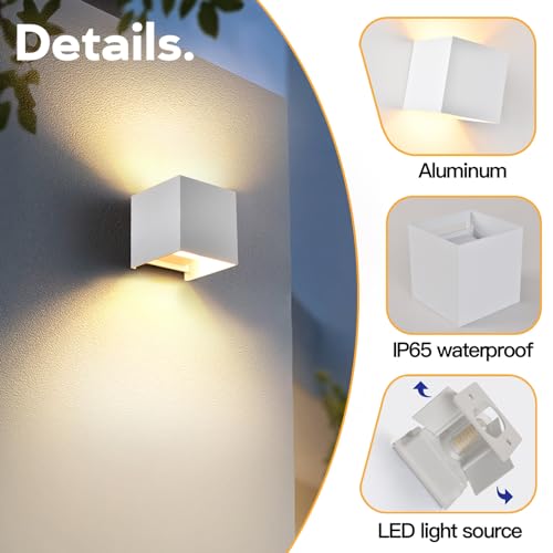 2 Pack Outdoor Wall Lights Exterior (2 Count)