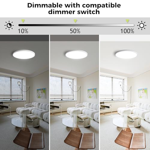 2Pack LED Flush Mount Ceiling Light Fixture (2 Count)