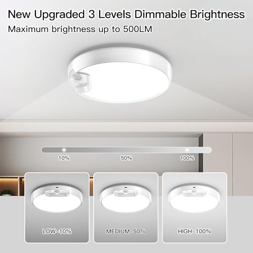 2 Pack Newly Upgraded 8000mAh Rechargeable Ceiling Light (2 Count)