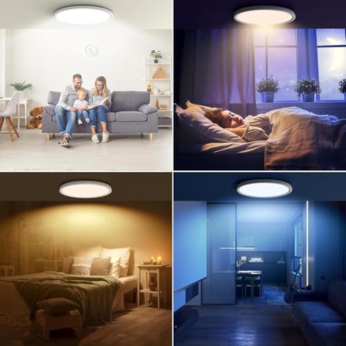 15 Inch LED Flush Mount Ceiling Light with Remote