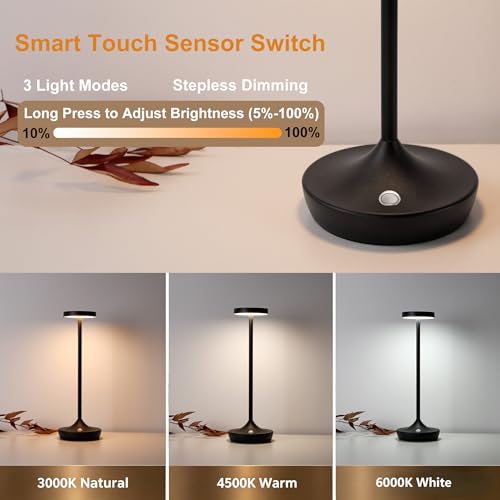 2 Pack Rechargeable Cordless Table Lamps 6000mAh LED Battery Table Light