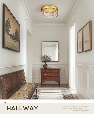 Modern Ceiling Light