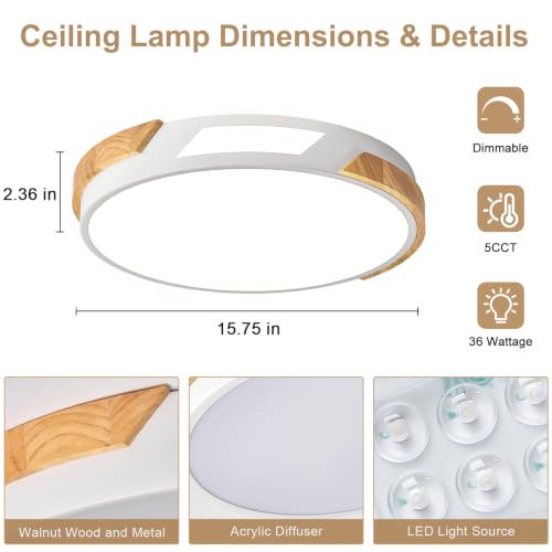 Modern LED Ceiling Light
