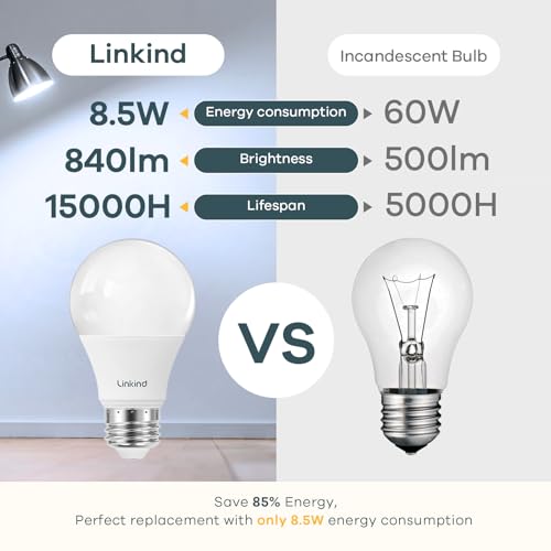 A19 LED Light Bulbs (6 Count)