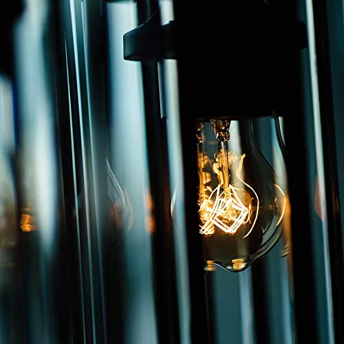 Warm Incandescent Light Bulbs 60 Watt (6 Count)