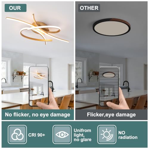Modern LED Ceiling Light Fixture