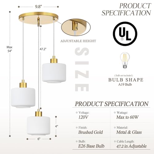 Brushed Gold Dining Room Chandelier Light Fixture