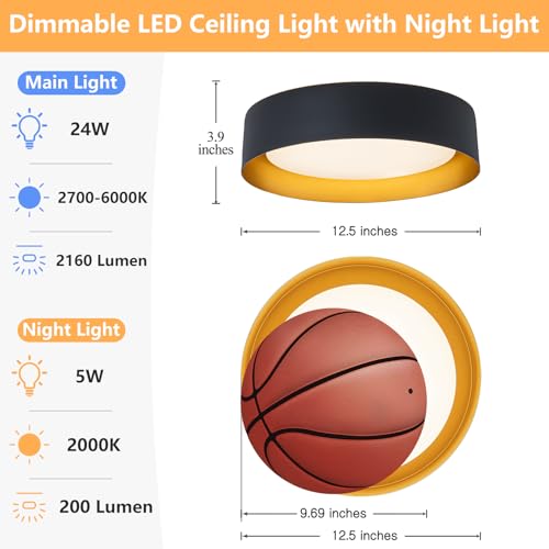 Flush Mount Ceiling Light with Remote & Night Light