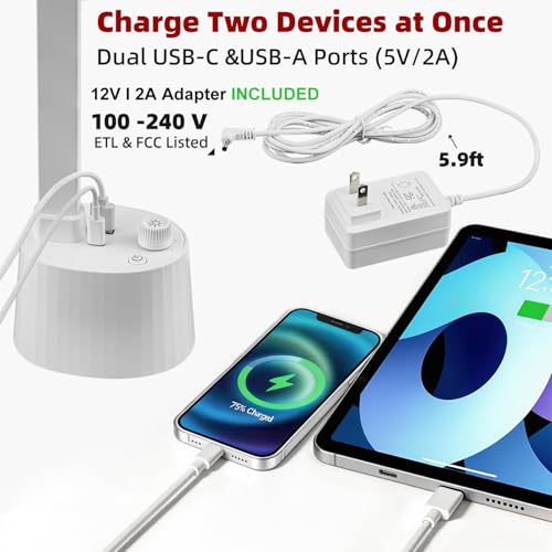 Small Desk Lamp with USB C Charging Port 5 Colors Stepless Dim White (Matte White / Compact)