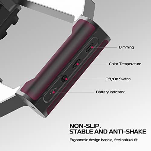 Smartphone Video Rig with Light