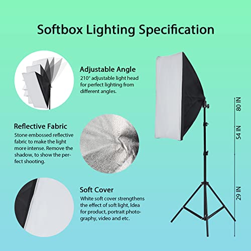 Photography Lighting Kit with 3 Color Backdrops