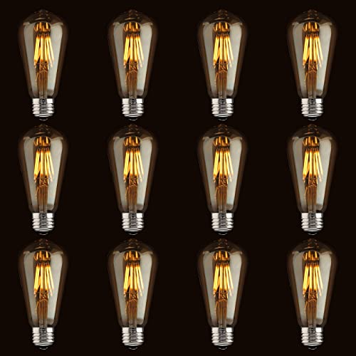 Edison Bulb ST64 (12 Count)