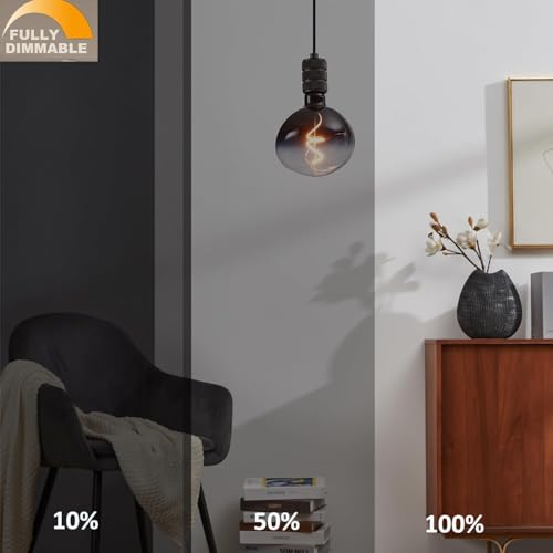 G150 Oversized Large Edison LED Bulb