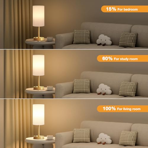 17.4" Gold Lamp for Bedroom