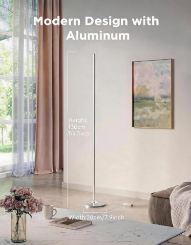 RGBIC Floor Lamp