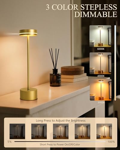 2 Pack LED Cordless Table Lamp Rechargeable (2 Count)